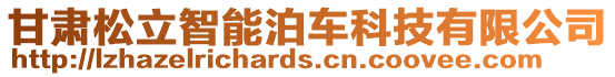 甘肅松立智能泊車科技有限公司