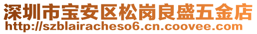 深圳市寶安區(qū)松崗良盛五金店