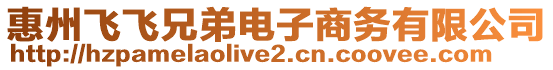 惠州飛飛兄弟電子商務(wù)有限公司