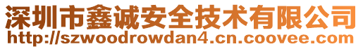 深圳市鑫誠安全技術(shù)有限公司