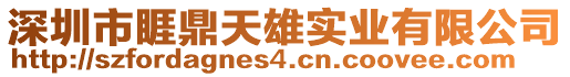 深圳市睚鼎天雄實(shí)業(yè)有限公司