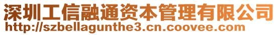 深圳工信融通資本管理有限公司