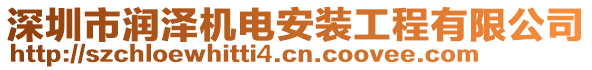 深圳市潤澤機電安裝工程有限公司