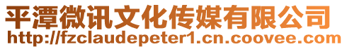 平潭微訊文化傳媒有限公司