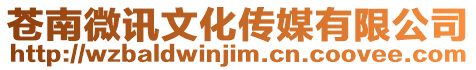 蒼南微訊文化傳媒有限公司