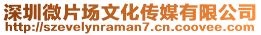 深圳微片場文化傳媒有限公司