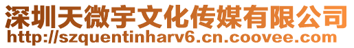 深圳天微宇文化傳媒有限公司