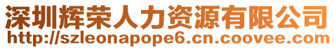 深圳輝榮人力資源有限公司