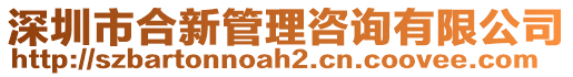 深圳市合新管理咨詢有限公司