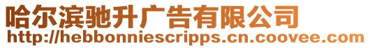 哈爾濱馳升廣告有限公司