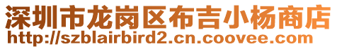 深圳市龍崗區(qū)布吉小楊商店