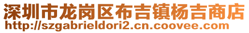 深圳市龍崗區(qū)布吉鎮(zhèn)楊吉商店