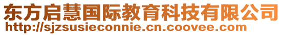 東方啟慧國際教育科技有限公司