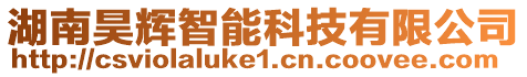 湖南昊輝智能科技有限公司
