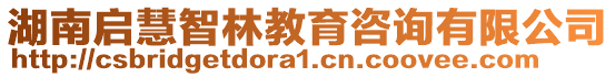 湖南啟慧智林教育咨詢有限公司