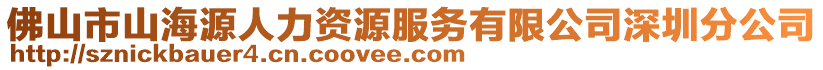 佛山市山海源人力資源服務有限公司深圳分公司