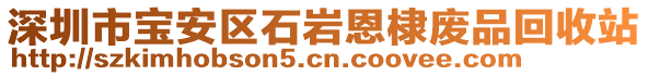 深圳市寶安區石巖恩棣廢品回收站