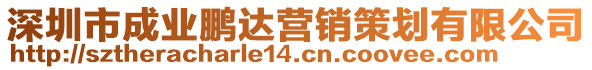 深圳市成業(yè)鵬達營銷策劃有限公司