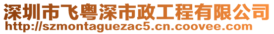 深圳市飛粵深市政工程有限公司