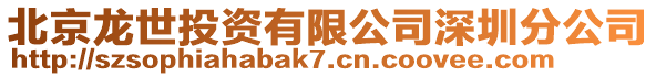 北京龍世投資有限公司深圳分公司