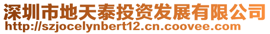 深圳市地天泰投資發(fā)展有限公司