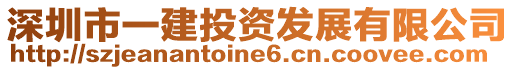 深圳市一建投資發展有限公司