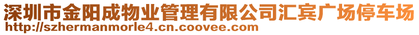 深圳市金陽成物業(yè)管理有限公司匯賓廣場停車場