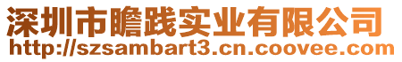 深圳市瞻踐實(shí)業(yè)有限公司