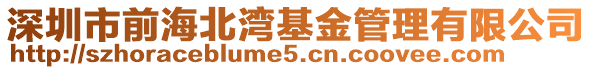 深圳市前海北灣基金管理有限公司