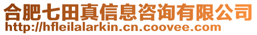 合肥七田真信息咨詢有限公司