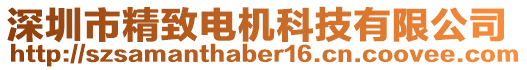 深圳市精致電機(jī)科技有限公司