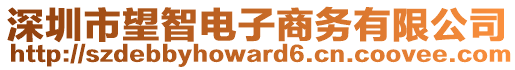 深圳市望智電子商務(wù)有限公司