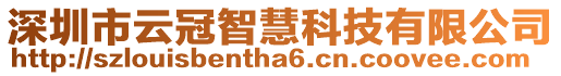 深圳市云冠智慧科技有限公司