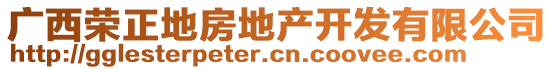 廣西榮正地房地產(chǎn)開發(fā)有限公司