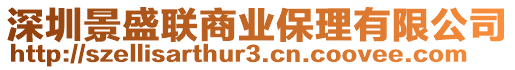 深圳景盛聯商業保理有限公司