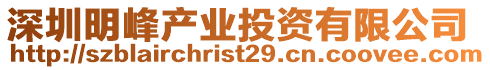 深圳明峰產(chǎn)業(yè)投資有限公司