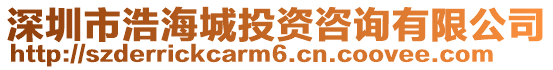 深圳市浩海城投資咨詢有限公司