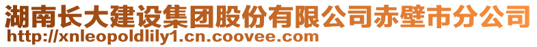湖南長大建設集團股份有限公司赤壁市分公司