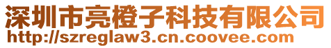 深圳市亮橙子科技有限公司