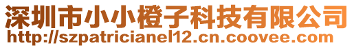 深圳市小小橙子科技有限公司