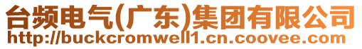 臺(tái)頻電氣（廣東）集團(tuán)有限公司