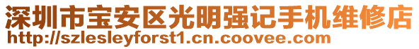深圳市寶安區光明強記手機維修店