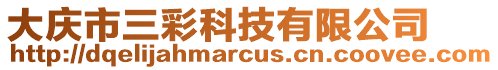 大慶市三彩科技有限公司