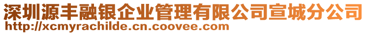 深圳源豐融銀企業(yè)管理有限公司宣城分公司