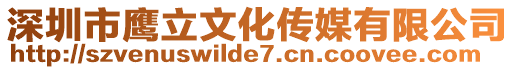 深圳市鷹立文化傳媒有限公司