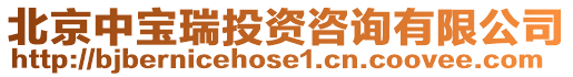 北京中寶瑞投資咨詢有限公司