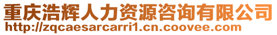 重慶浩輝人力資源咨詢有限公司