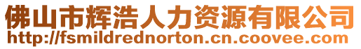 佛山市輝浩人力資源有限公司