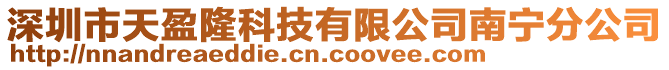 深圳市天盈隆科技有限公司南寧分公司