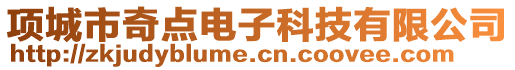 項(xiàng)城市奇點(diǎn)電子科技有限公司